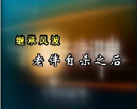 继承风波-老伴自杀之后