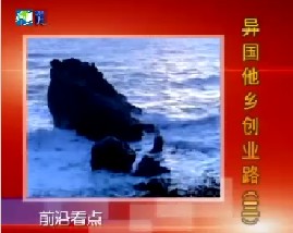 异国他乡创业路（三）