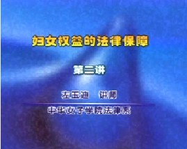妇女权益的法律保障（二）