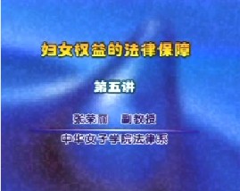 妇女权益的法律保障（五）