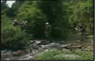 野外生存（13）