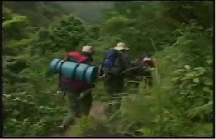 野外生存（16）