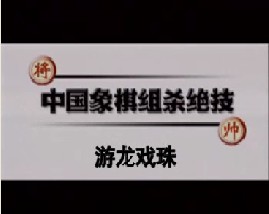 中国象棋－游龙戏珠