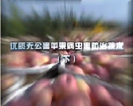 优质无公害苹果病虫害防治技术（下）