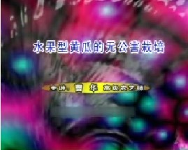 特菜无公害栽培技术--水果型黄瓜的无公害栽培