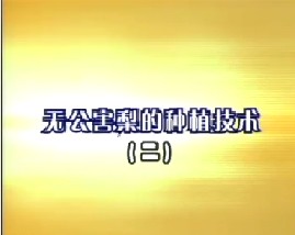 无公害梨的种植技术（二）