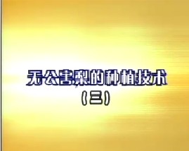 无公害梨的种植技术（三）