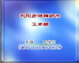 利用赤眼蜂防治玉米螟