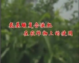 氨基酸复合液肥在农作物上的使用