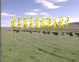 牧区两用暖棚配套技术