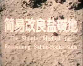 简易改良盐碱地、保护耕地