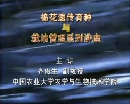 棉花遗传育种与栽培管理（四）