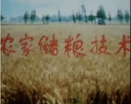 农家储粮技术-薯类淀粉加工