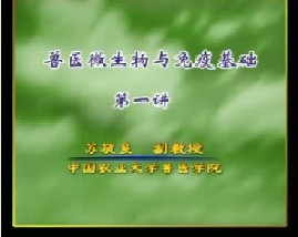 兽医微生物与免疫基础（一）