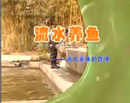 流水养鱼（二）