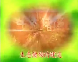 生态猪场的建造