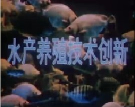 水产养殖技术创新 小体积高密度网箱养鱼