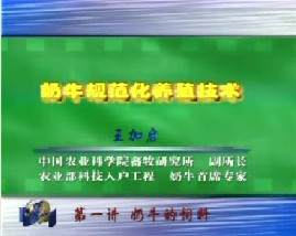 奶牛的规范化养殖技术（一）