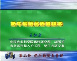 奶牛的规范化养殖技术（二）