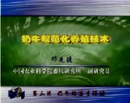 奶牛的规范化养殖技术（三）