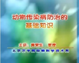动物传染病防治的基础知识
