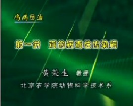 鸡病防治（一）