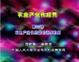 农业产业化经营（四）