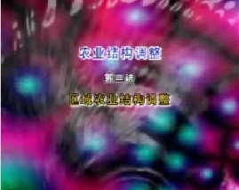 农业结构调整（二）