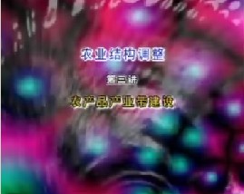 农业结构调整（三）