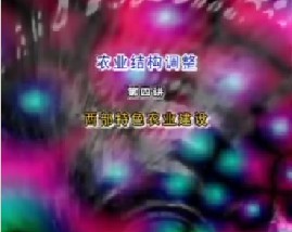 农业结构调整（四）