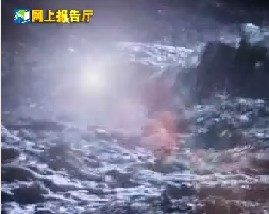 十大惊人救援