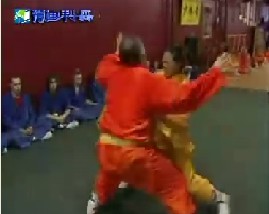 十大武术神功