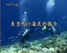 来自西沙海底的报告