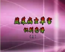 蔬菜病、虫、草害识别图谱（上）