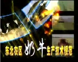 东北农区奶牛生产技术规范（一）