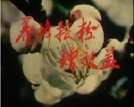 养蜂授粉增效益