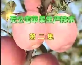 无公害苹果生产技术（二）