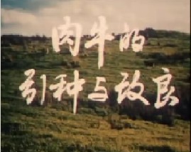 肉牛的引种与改良 肉牛快速育肥新技术