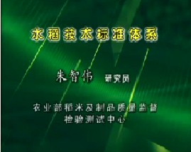 水稻技术标准体系