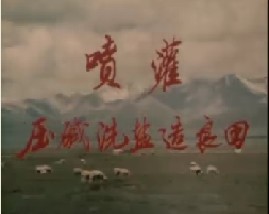 喷灌压碱洗盐造良田