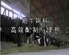 奶牛饲料高效配制与使用
