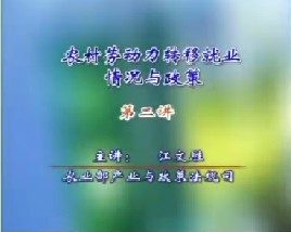 农村劳动力转移就业情况与政策（二）