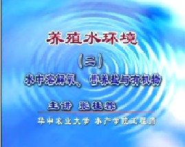 养殖水环境（二）