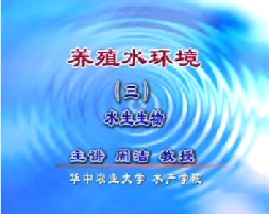 养殖水环境（三）