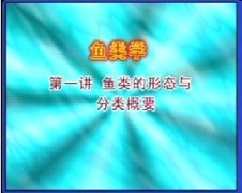 鱼类学（一）
