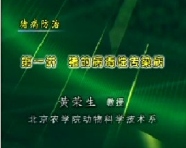 猪病防治（一）