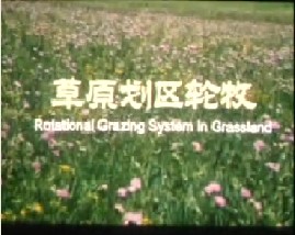 草原划区轮牧