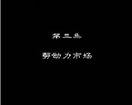 进城务工指南（三）