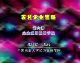 农村企业管理（六）