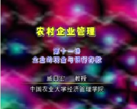 农村企业管理（十一）